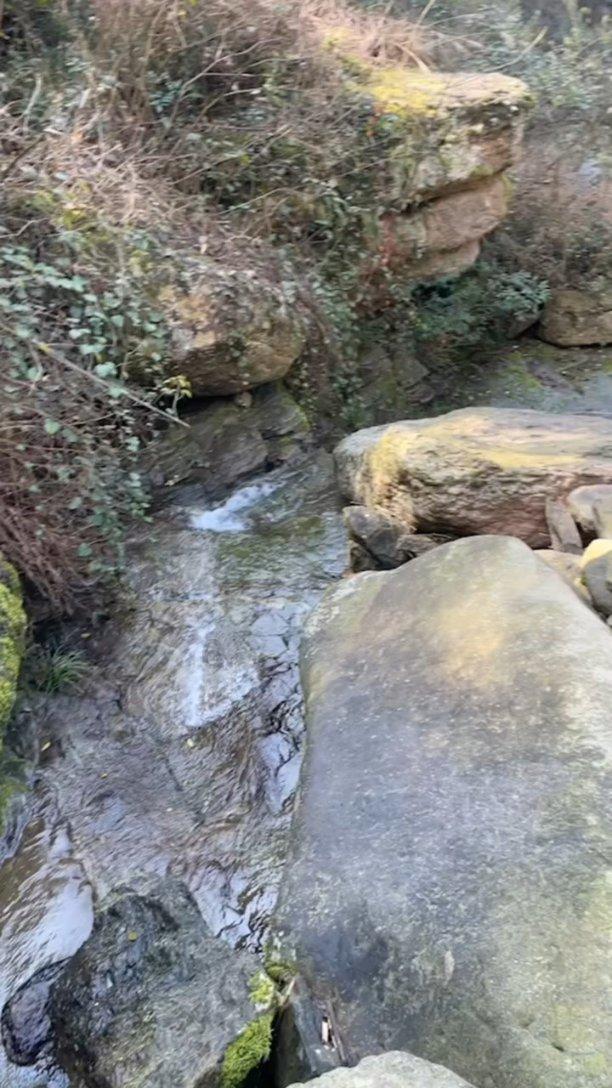 挪用公款罪多少算盗窃游戏画面